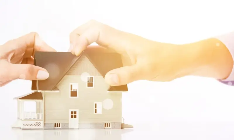 Jaką strukturę organizacyjną ma kancelaria prawna?