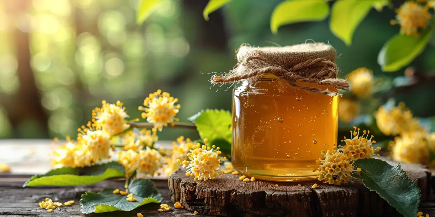 Miód rzepakowy na co działa?