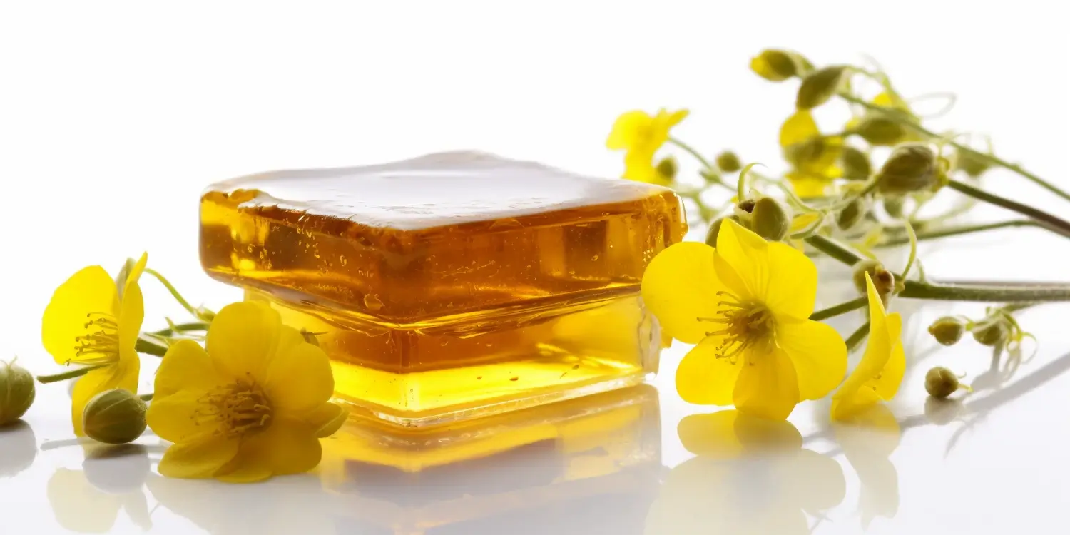 Na co dobry miód rzepakowy?