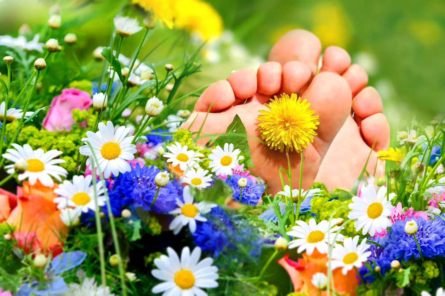 Podologia - zdrowe i ładne stopy